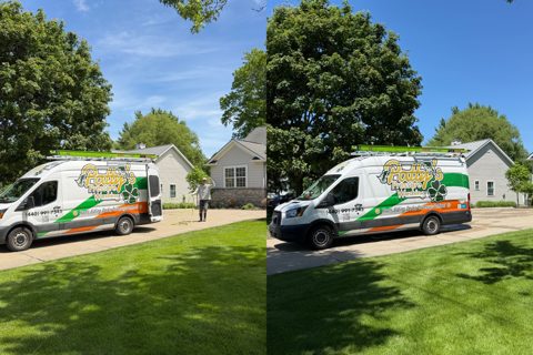 House SoftWash in Lyndhurst