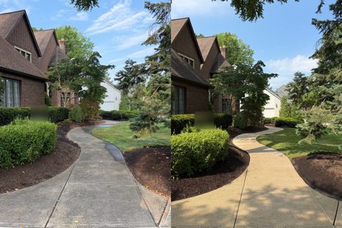Job photo 2