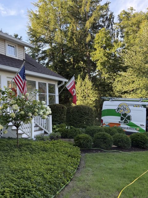 Job photo 5