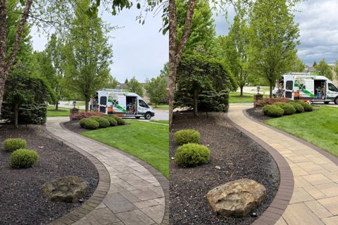 Stone in Solon