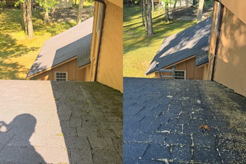 House SoftWash in CHAGRIN FALLS